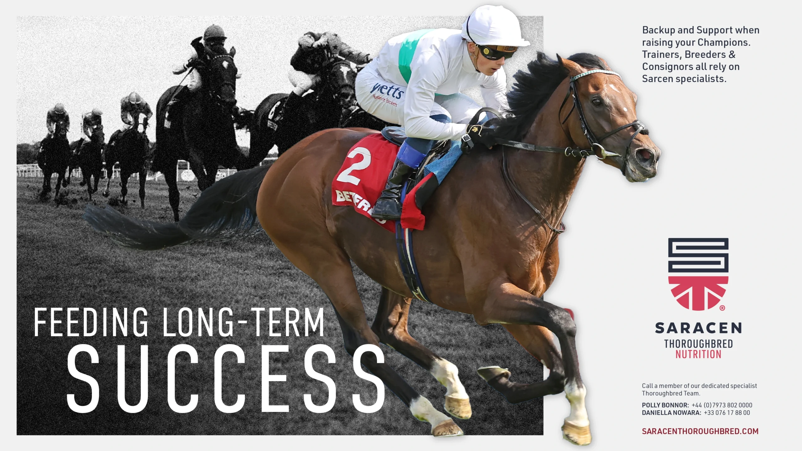 Thoroughbred ad