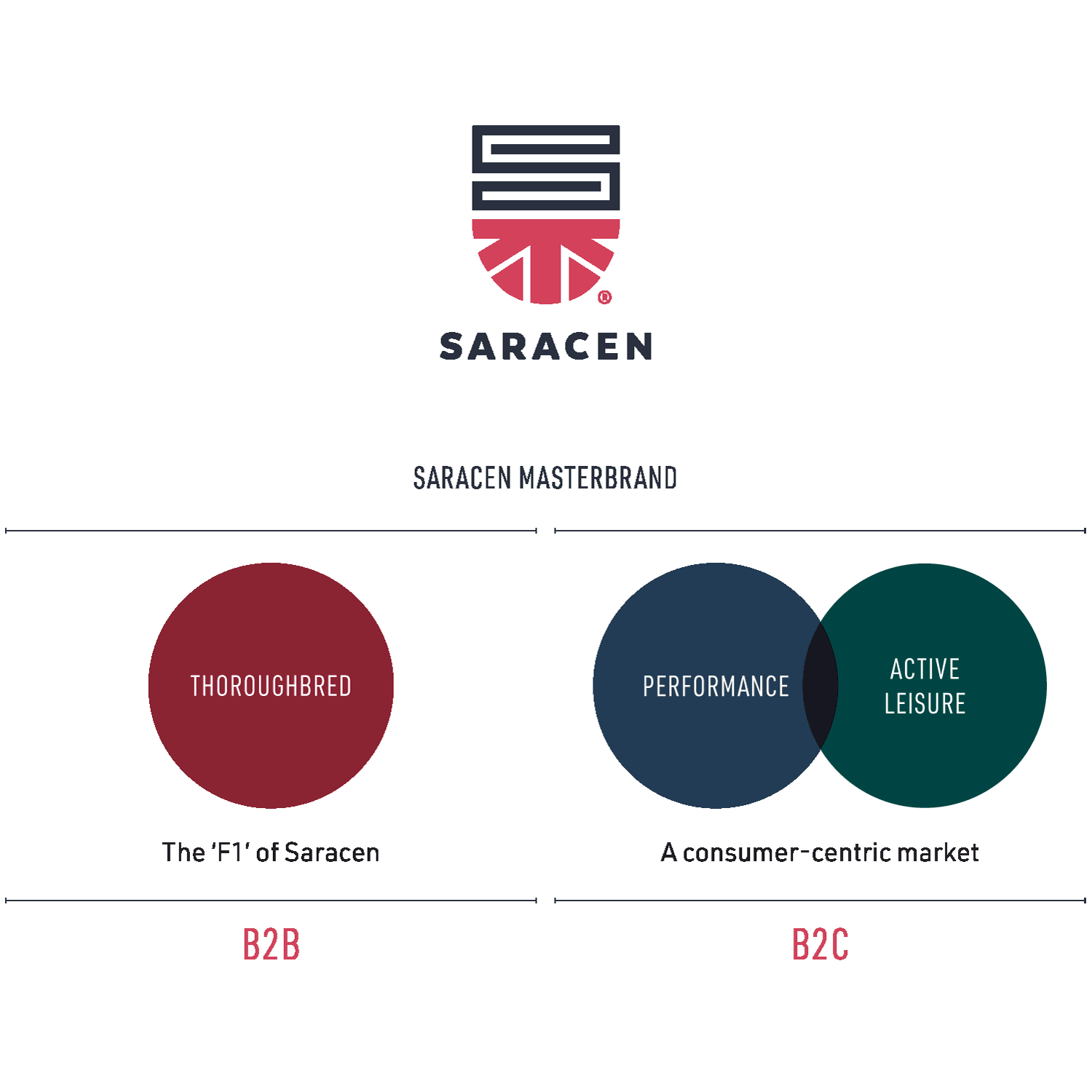 Saracen assets overview